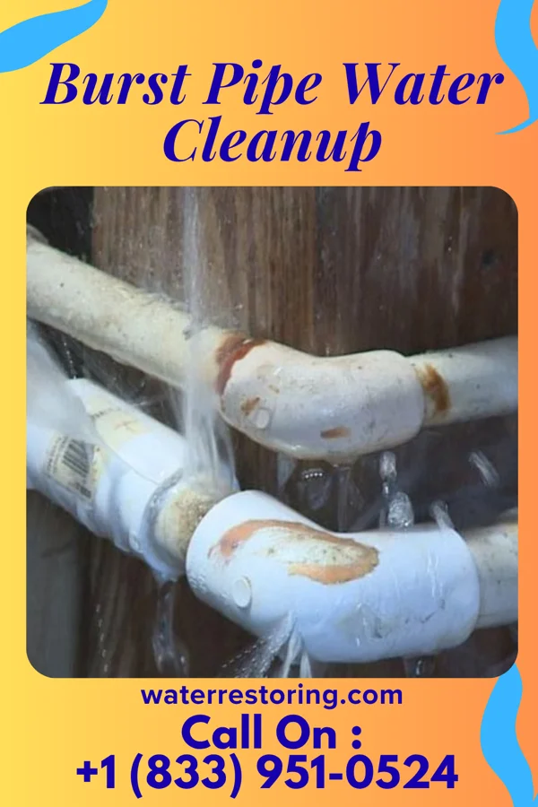 Burst Pipe Water Cleanup in Mayodan, NC