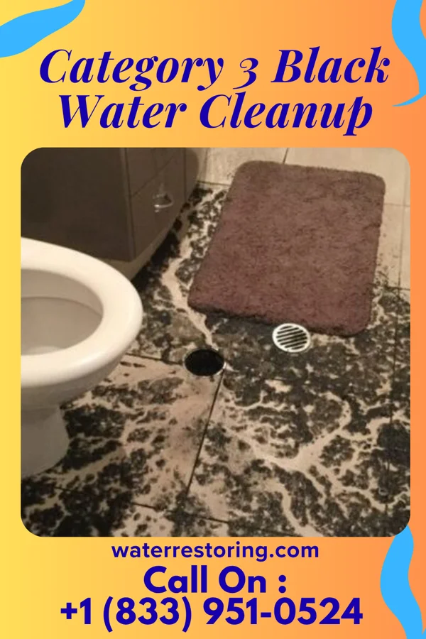 Category 3 Black Water Cleanup in Mayodan, NC