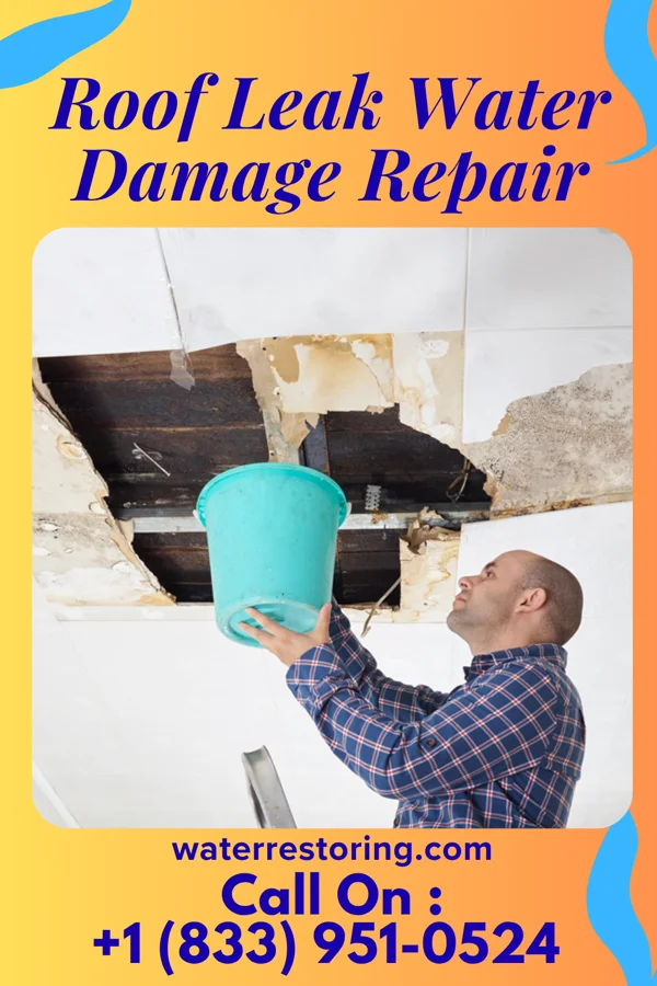 Roof Leak Water Damage Repair in Mayodan, NC