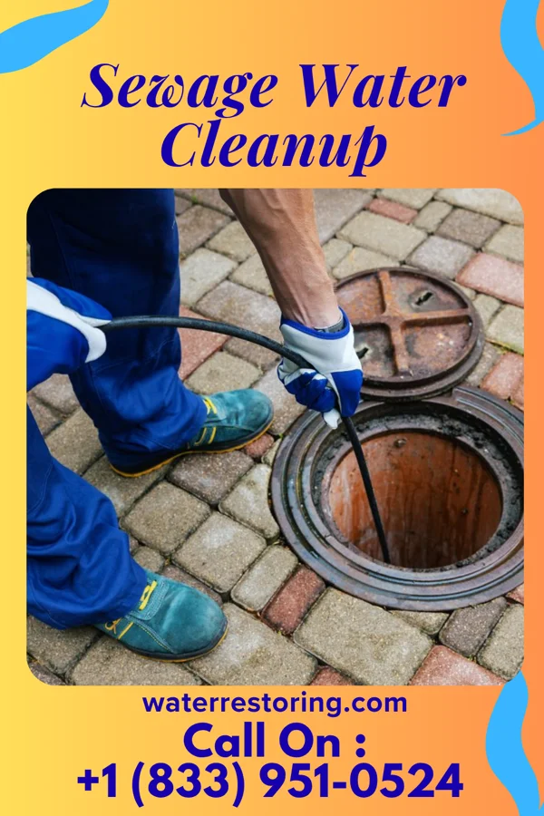 Sewage Water Cleanup in Mayodan, NC