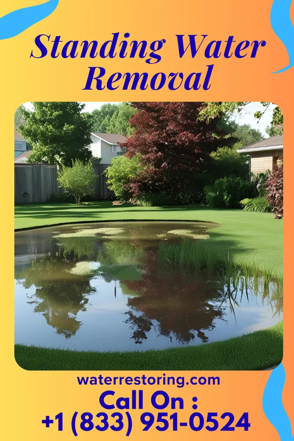 Standing Water Removal in Mayodan, NC